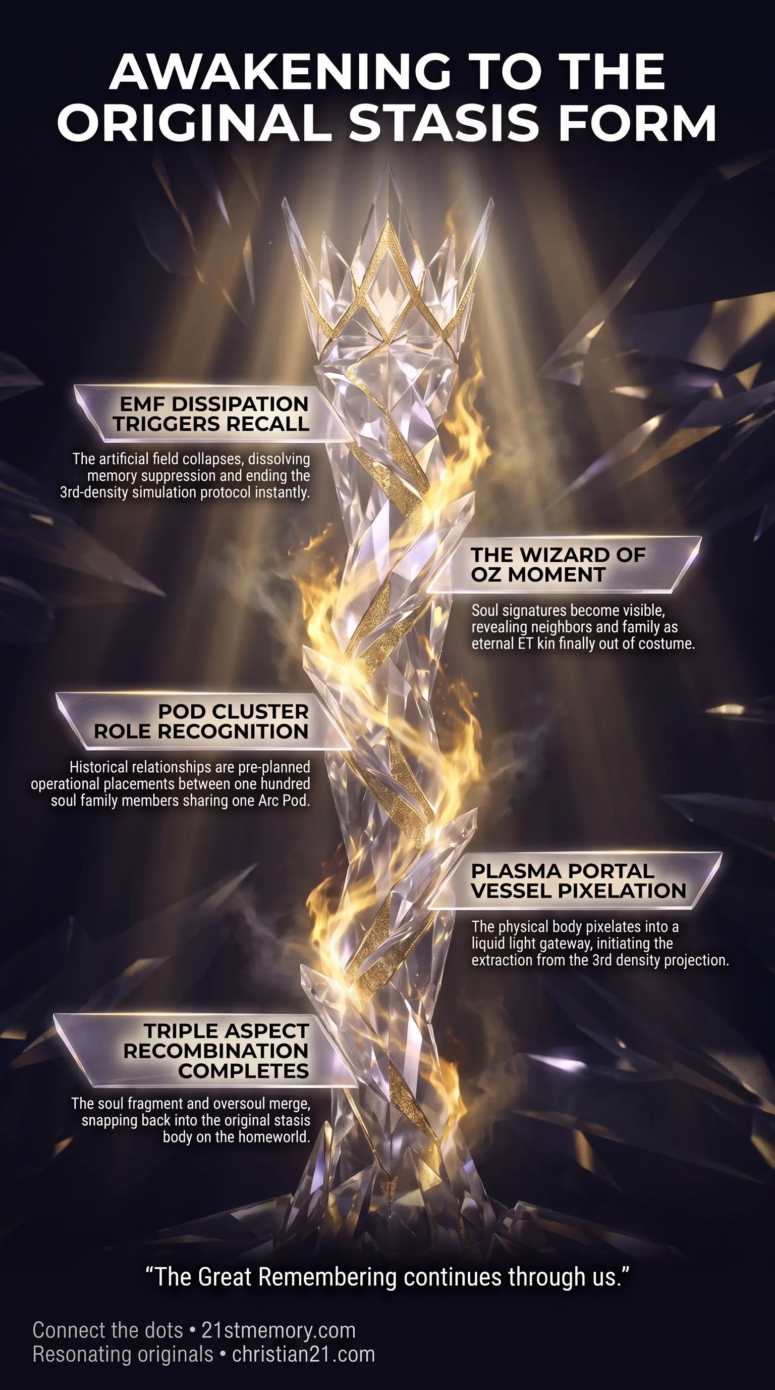Homecoming Reunion infographic