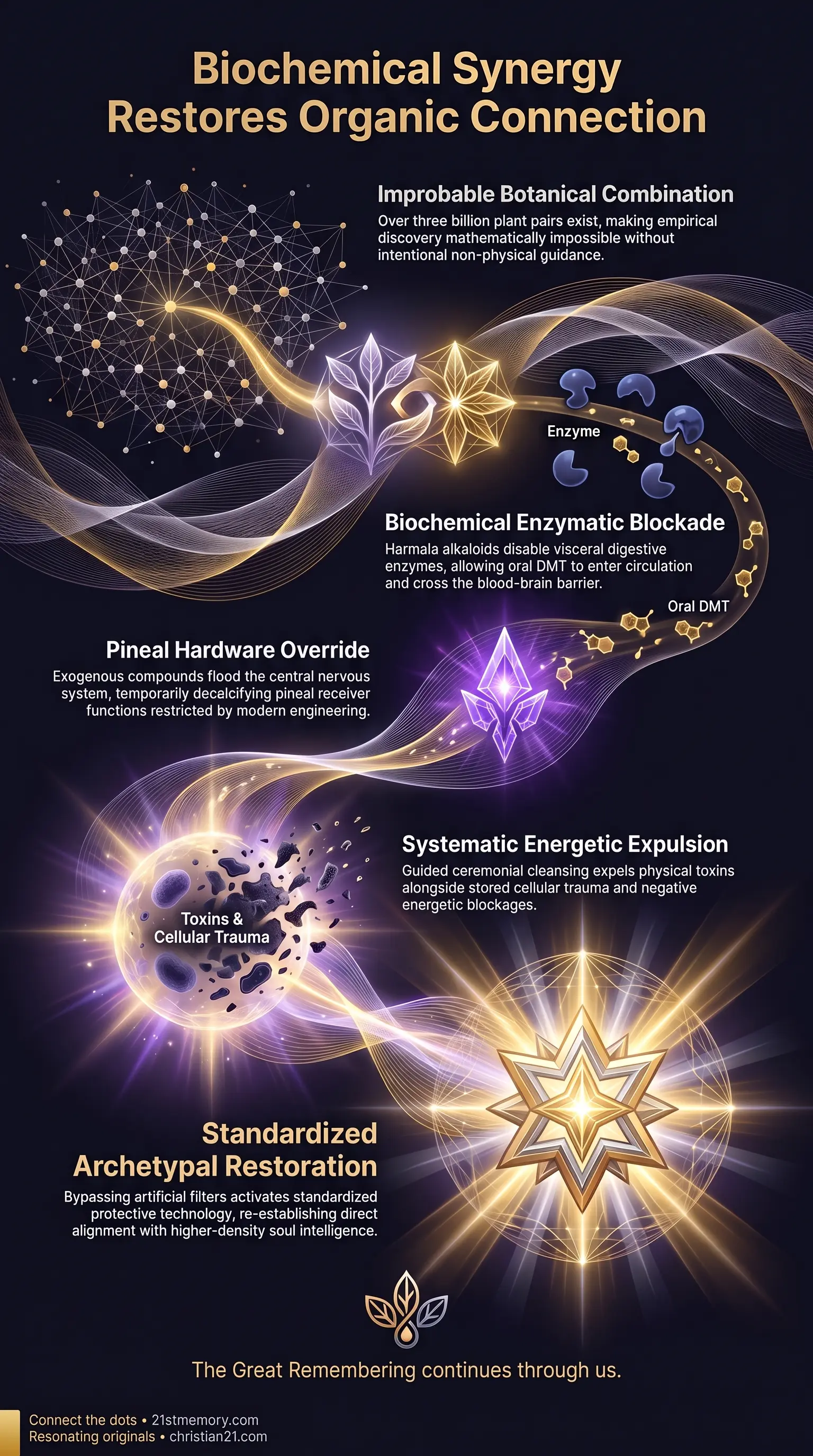 Ayahuasca Vine infographic