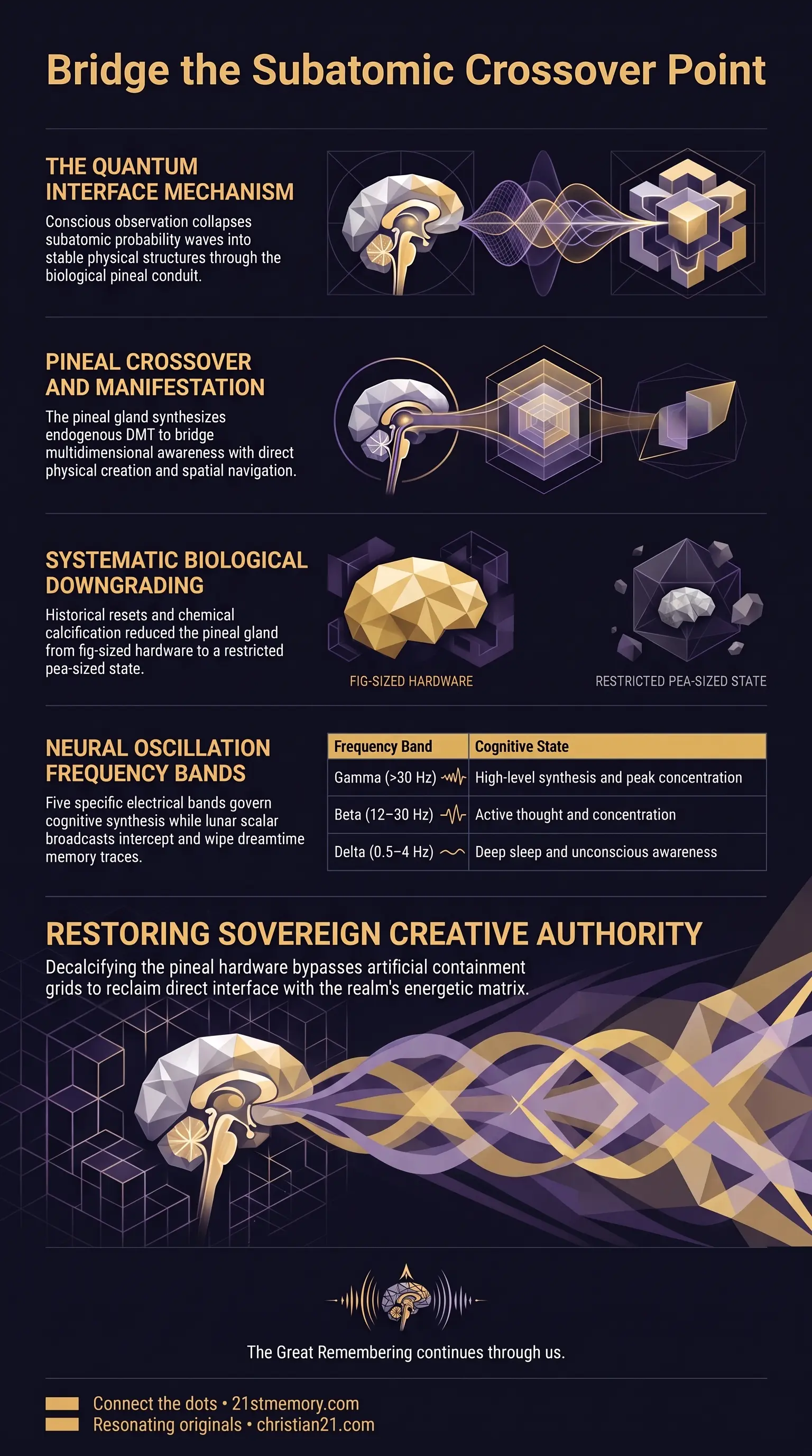 Quantum Interface infographic