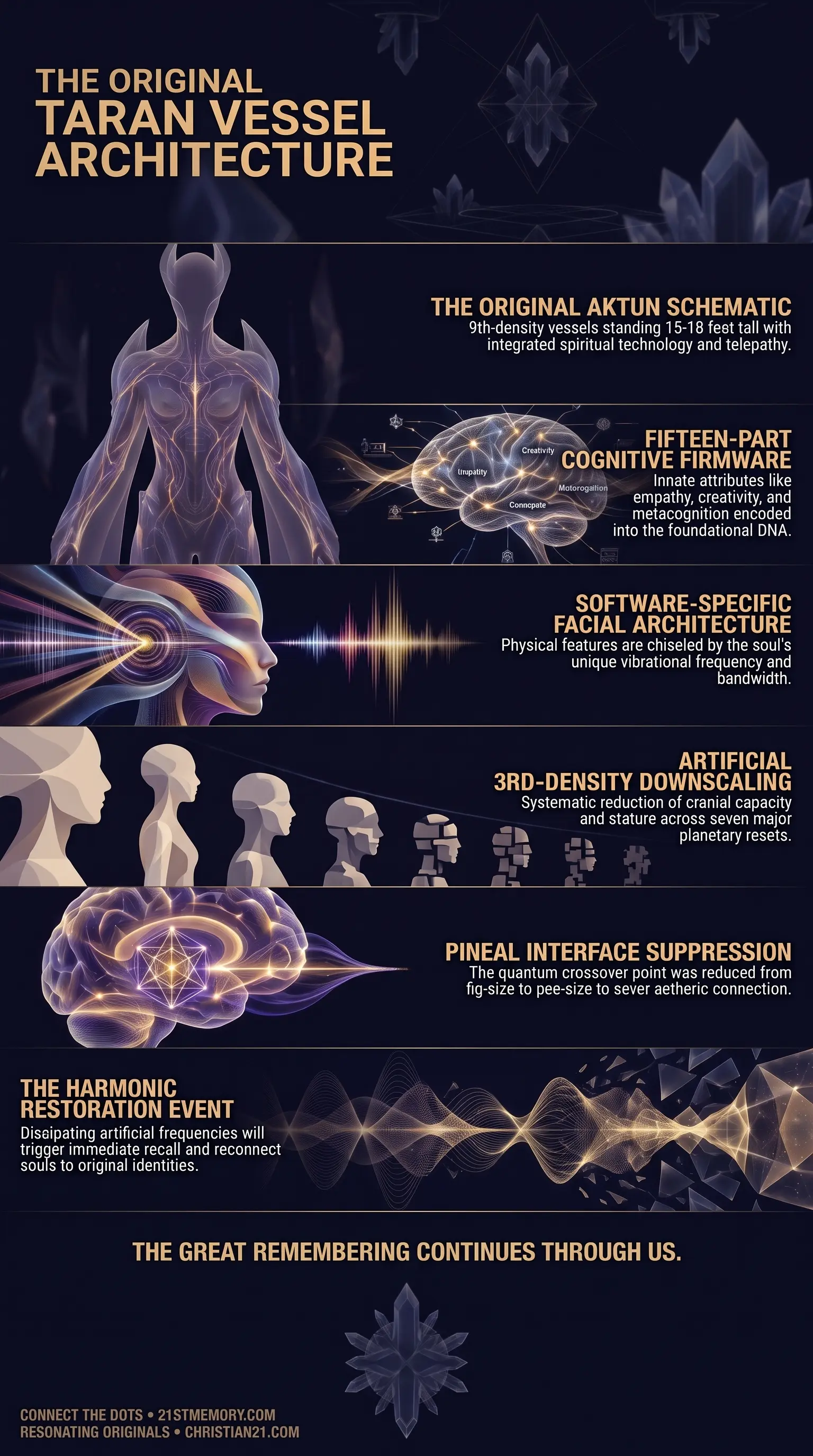 Taran Vessels infographic