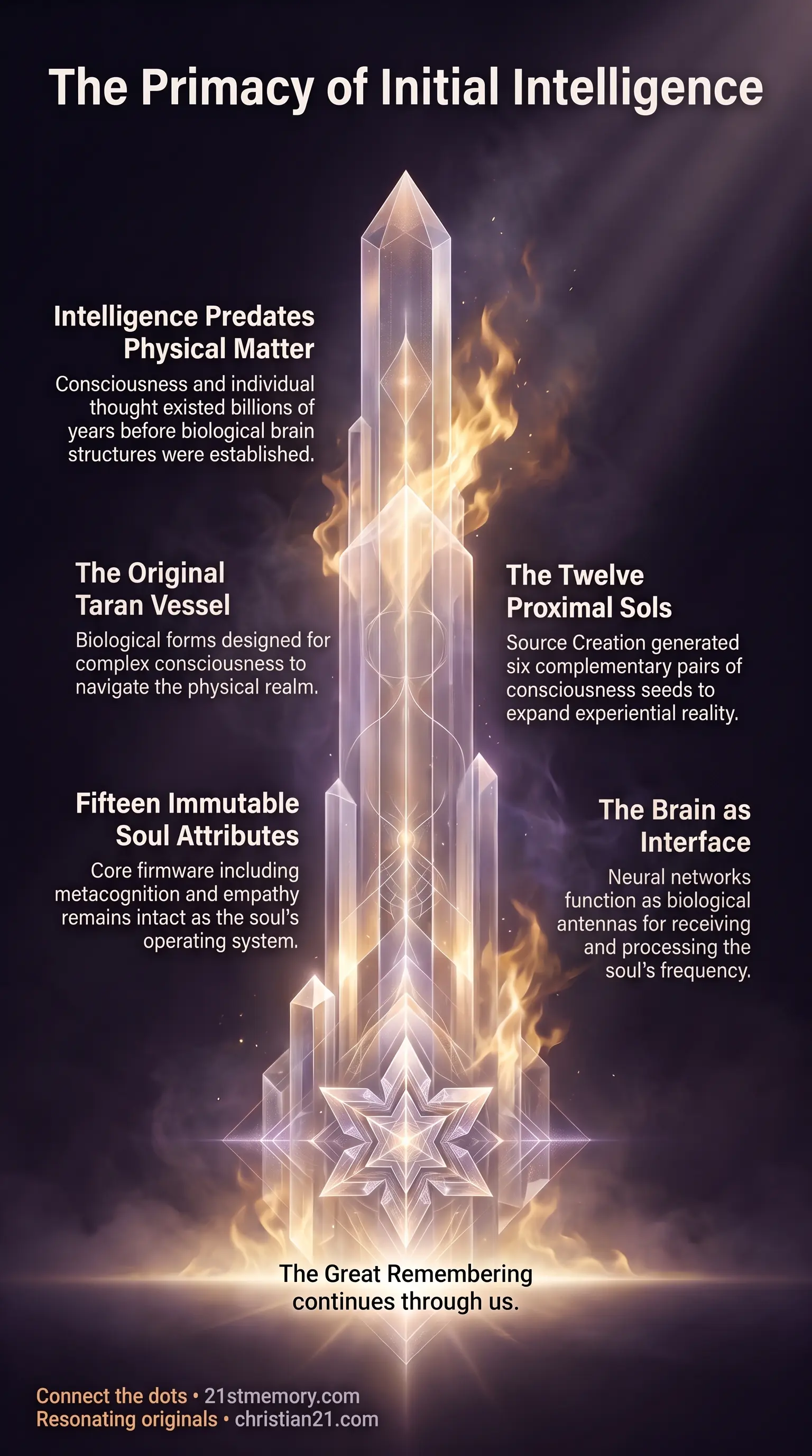 Intelligence First infographic