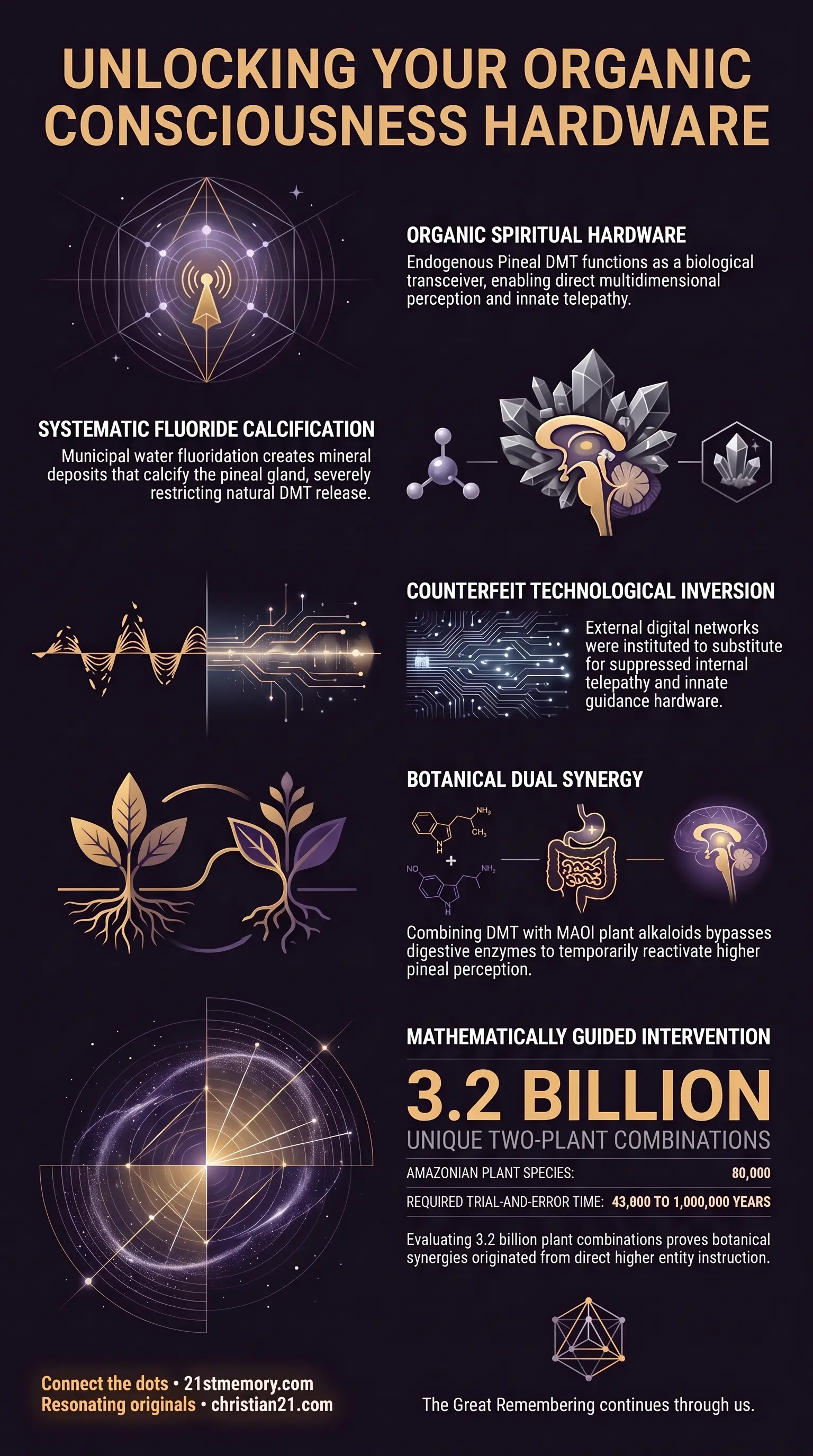 Pineal DMT infographic